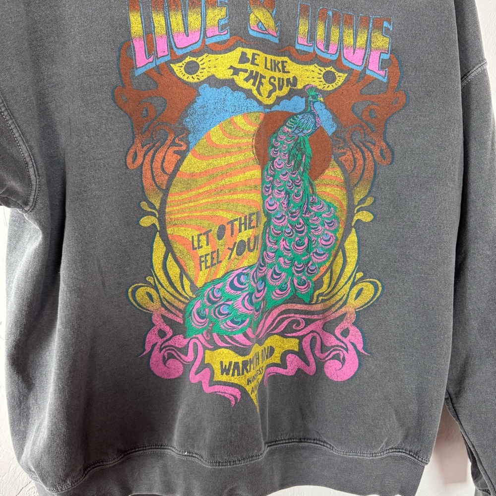UO Urban Outfitters Project Social T Sweater Pullover Sweatshirt Fleece Sun Gray - Picture 5 of 8